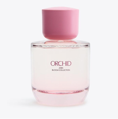 عطر زنانه زارا ORCHID